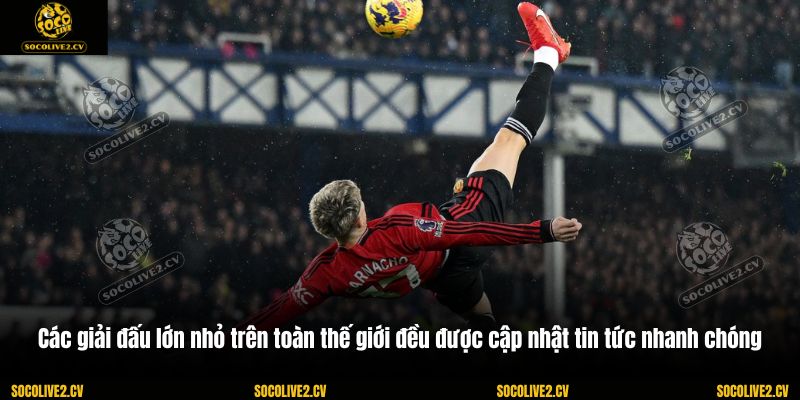 Các giải đấu lớn nhỏ trên toàn thế giới đều được cập nhật tin tức nhanh chóng